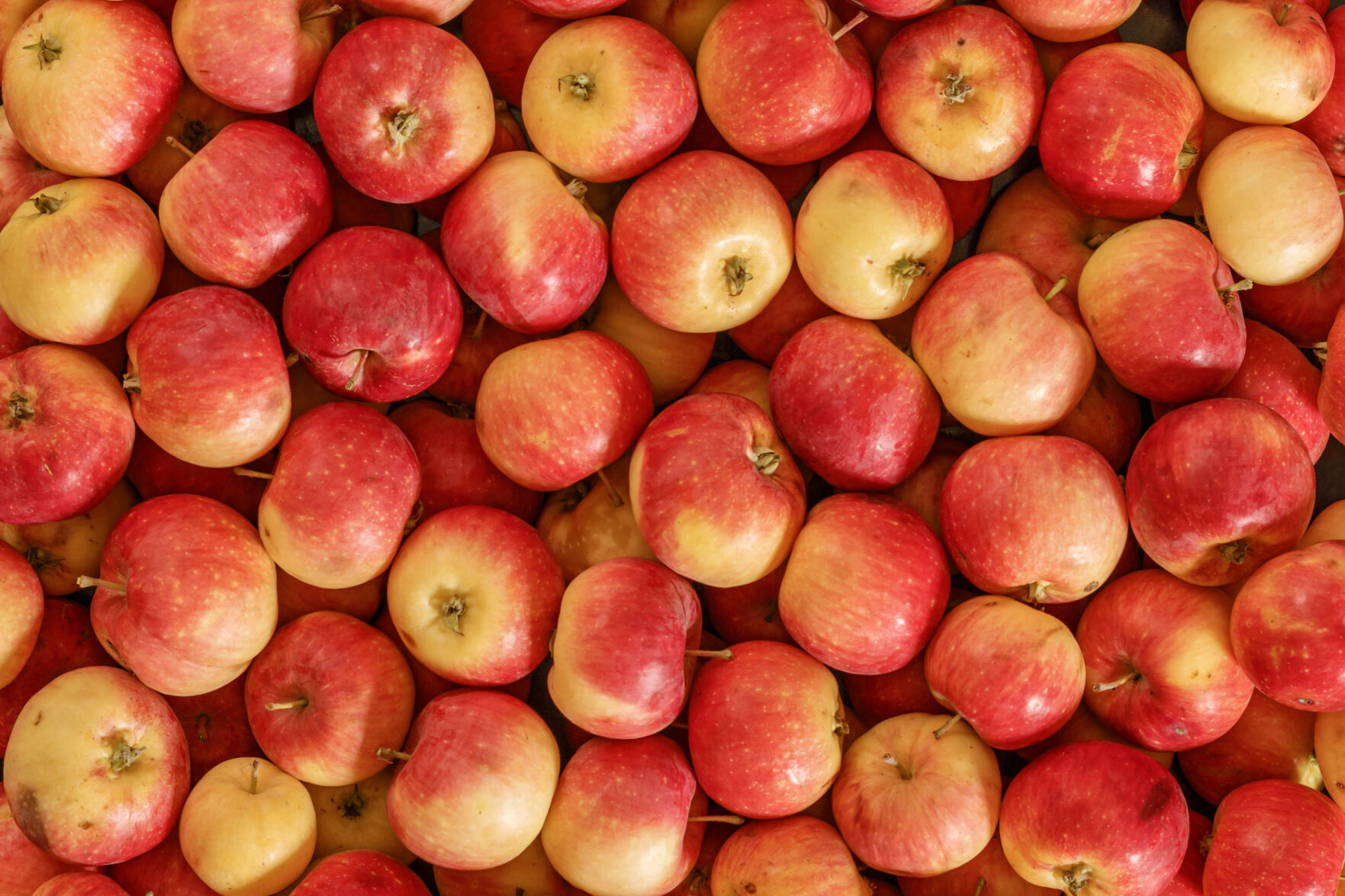 Honeycrisp Apples